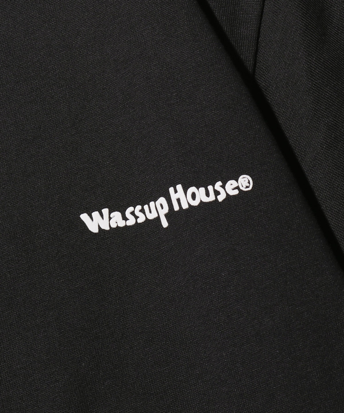 Wassup House/ワサップハウス Tiger Tee バックプリントTシャツ Wassup